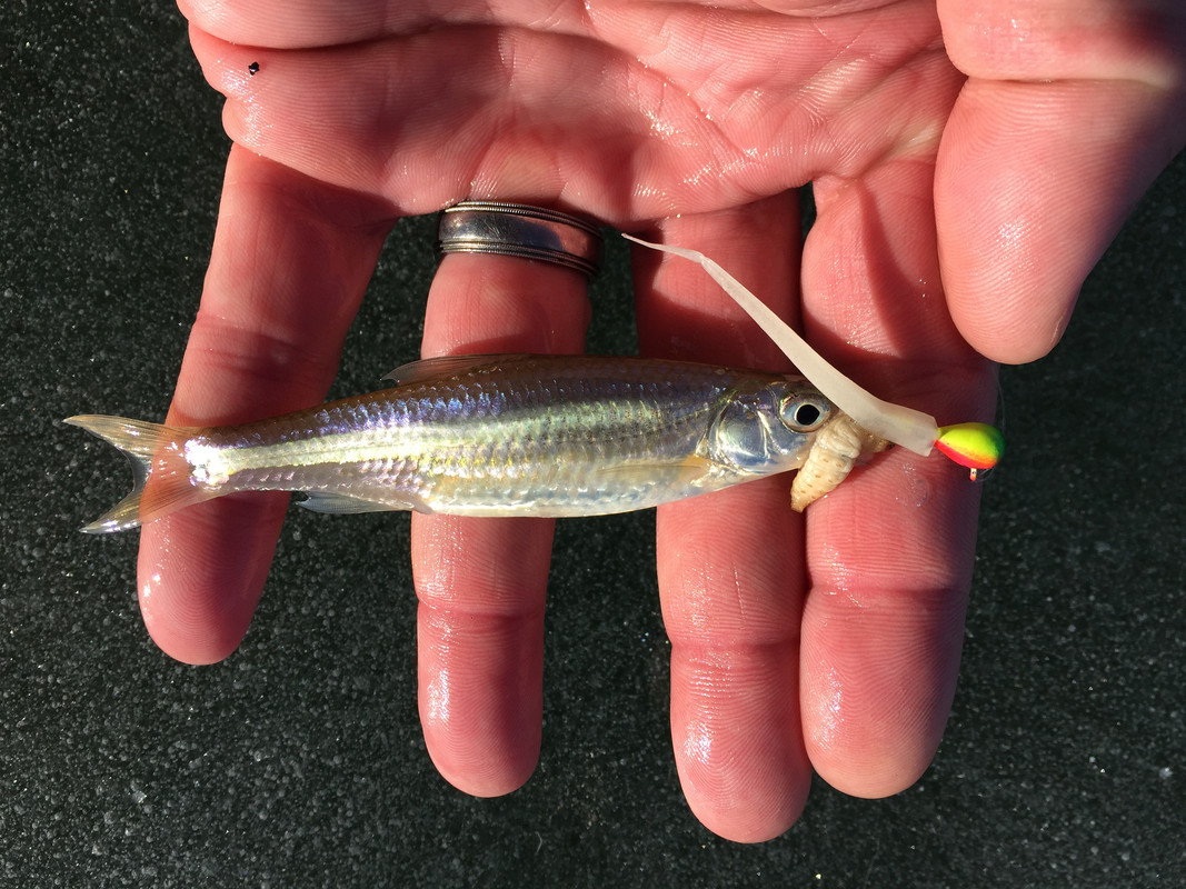 4EC05CE5-E9E3-4F17-9C08-CE95394DA7BE