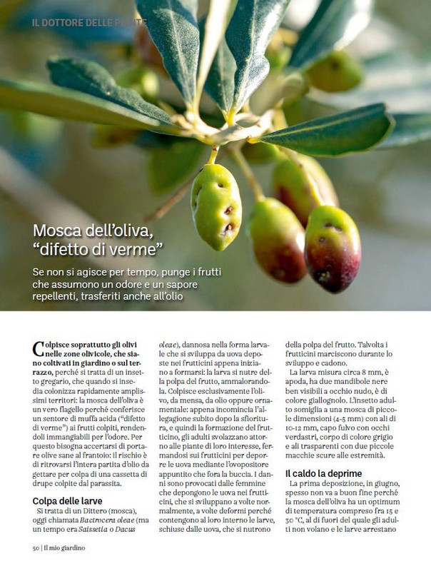 Il Mio Giar Ott-Nov 2023 (9)