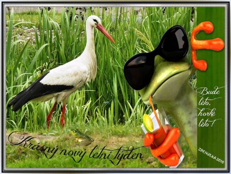 An den Beitrag angehängtes Bild: https://i.postimg.cc/jSYf16Yk/nov-letn-t-den.jpg