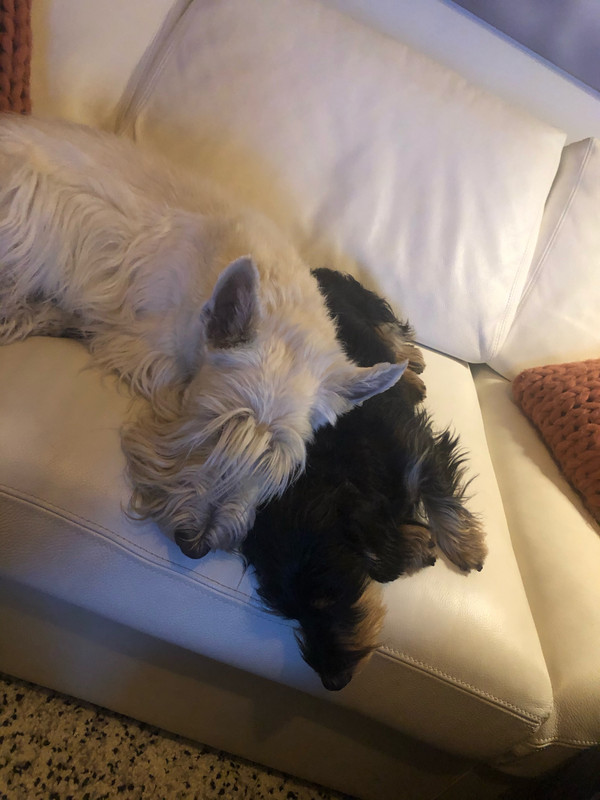 [Image: IMG-7899.jpg]