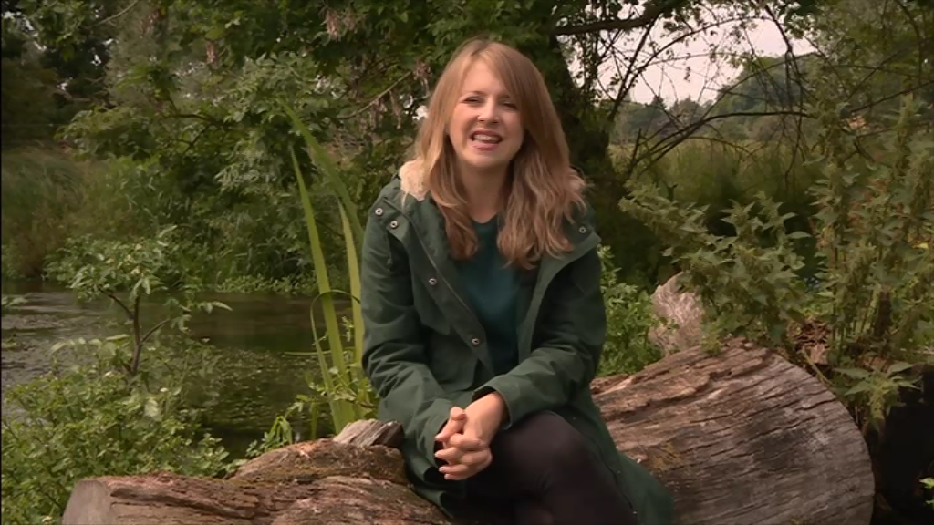 BBC London News_20210713_18301900.ts_snapshot_11.16.737