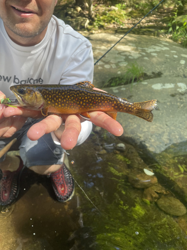 167050DA-9DE8-4B49-9DC6-DCEA41AEB3A2