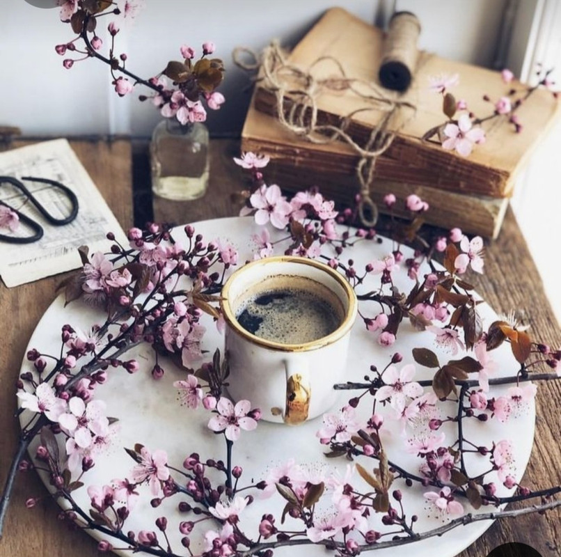 Screenshot_20240609_213337_Pinterest