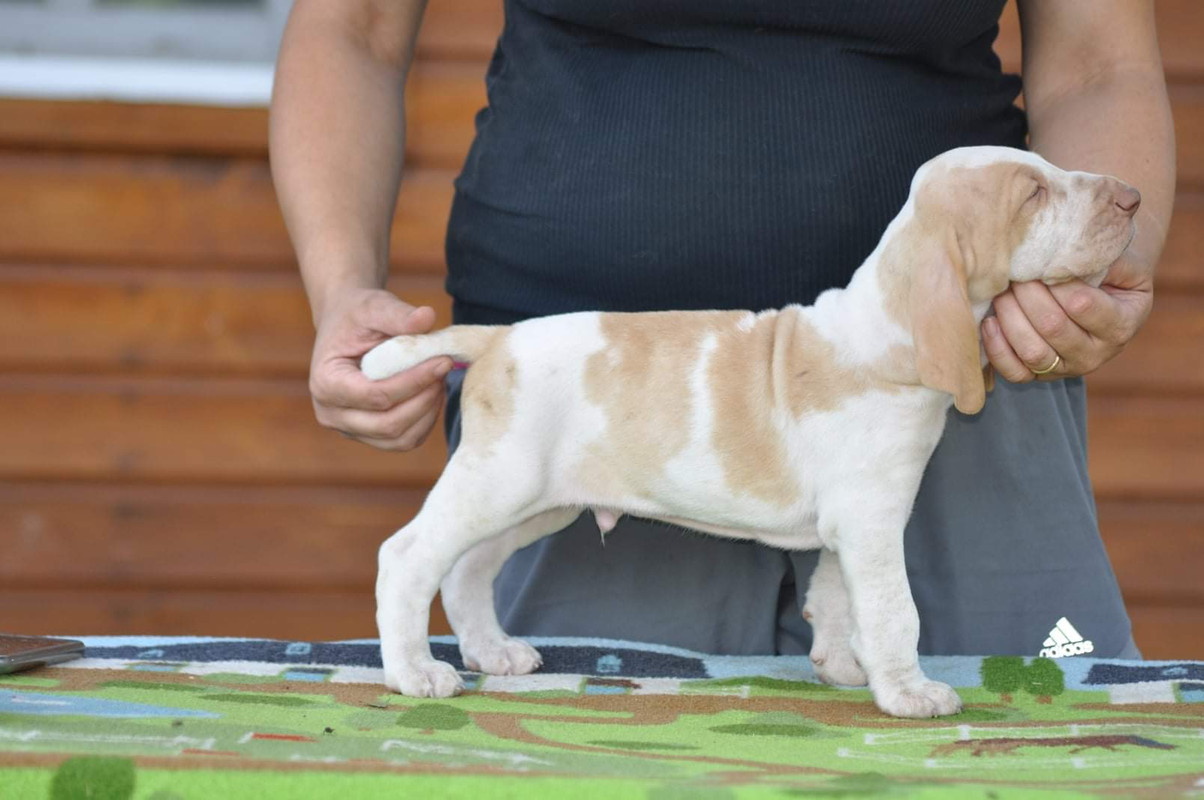 8F249D86-F576-4415-99B9-5735B3103E33