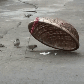 GIFs-10