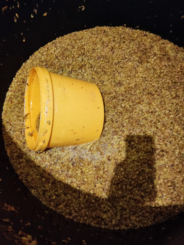 IMG-20230921-222013.jpg