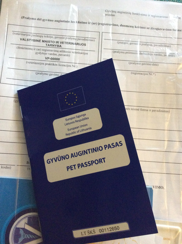 F4CC1CA4-4CCE-481A-8B60-ECB3ED7268D8