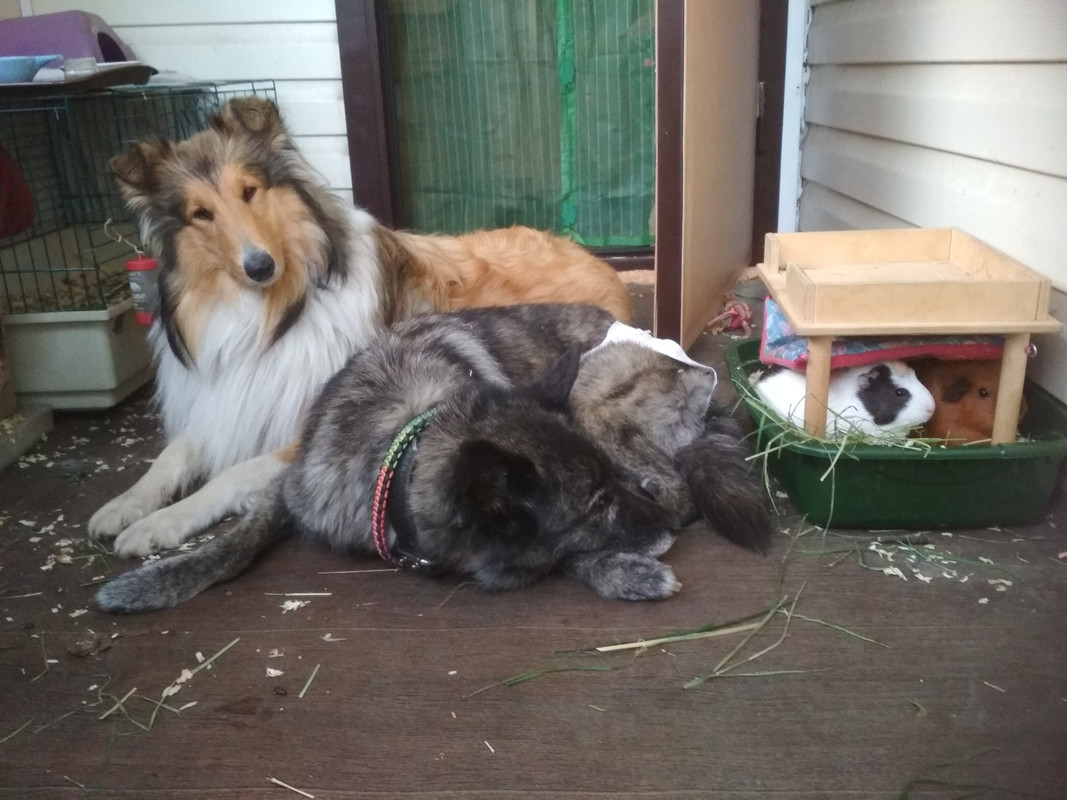 хор.IMG_20210615_185852