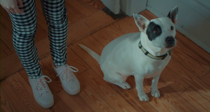 vlcsnap-2021-01-21-15h06m13s457