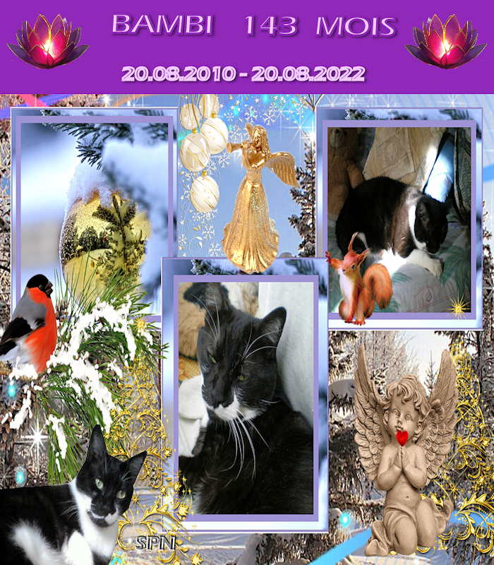 BAMBI-143-MOIS-1