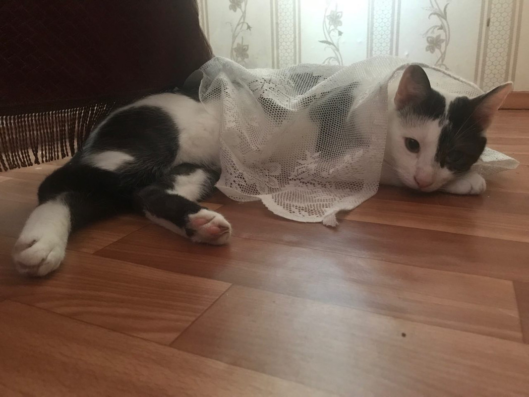 056DFC5D-A73A-41CA-9FF8-2DA943DA6D49