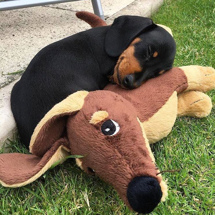 [Image: ceff66dc1340b57160f897b42b37e4dd.jpg]