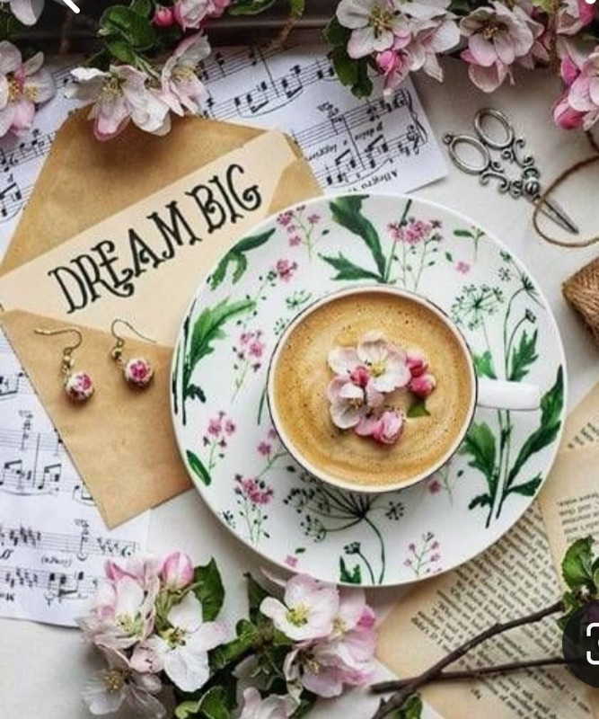 Screenshot_20230315_232046_Pinterest