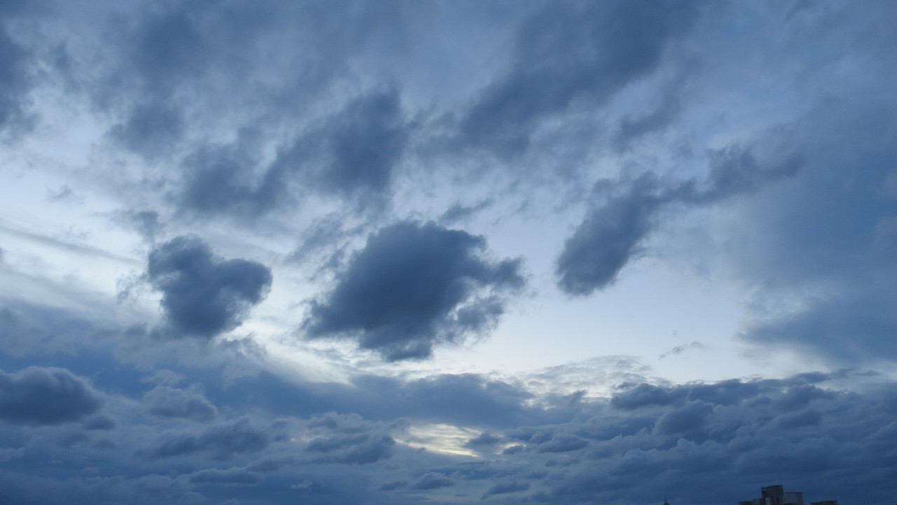 IMG-8818.jpg