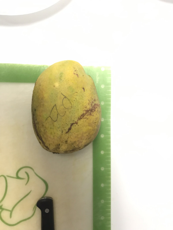 162FAF30-433E-4AAC-AE44-BD707C8C942F