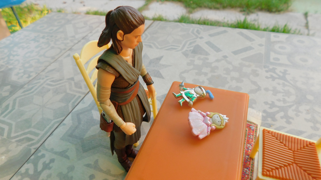 Дачно-Харлинский июнь-июль 2024 123