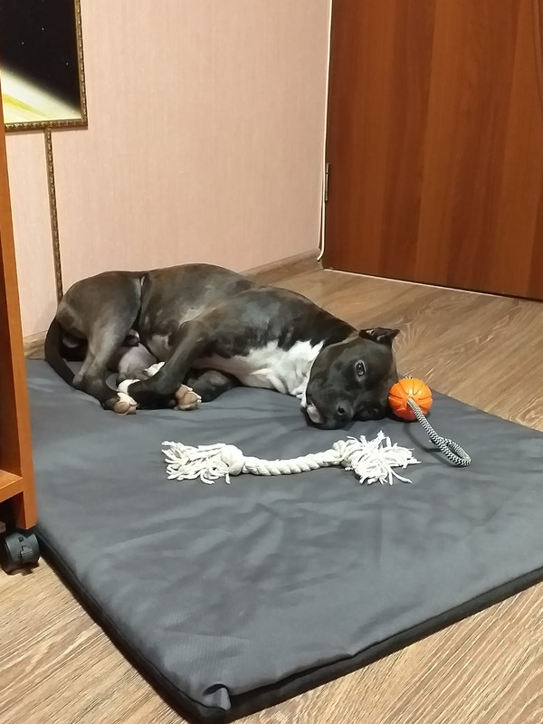 80E93337-886C-4E89-9C57-D3E923A8689F