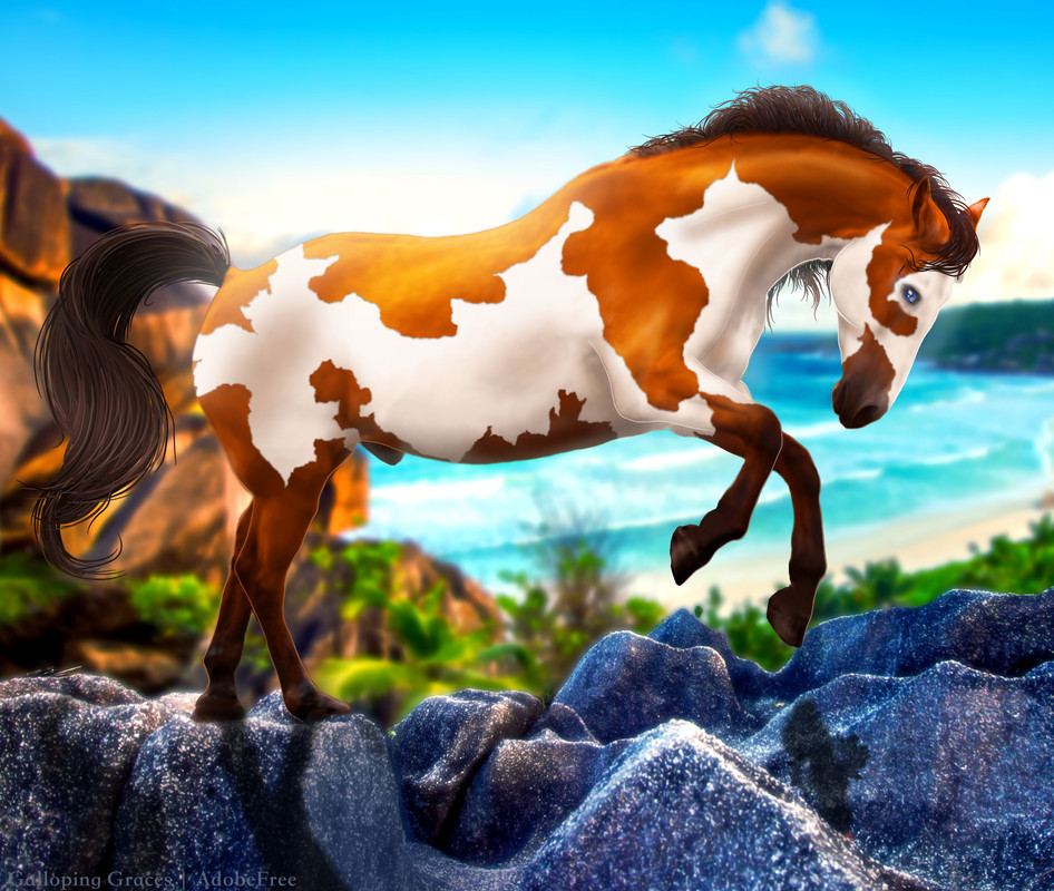 Hula-Horse-Full2.jpg