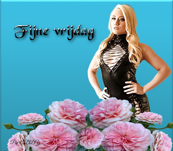 Welkom bij Pps Eddy