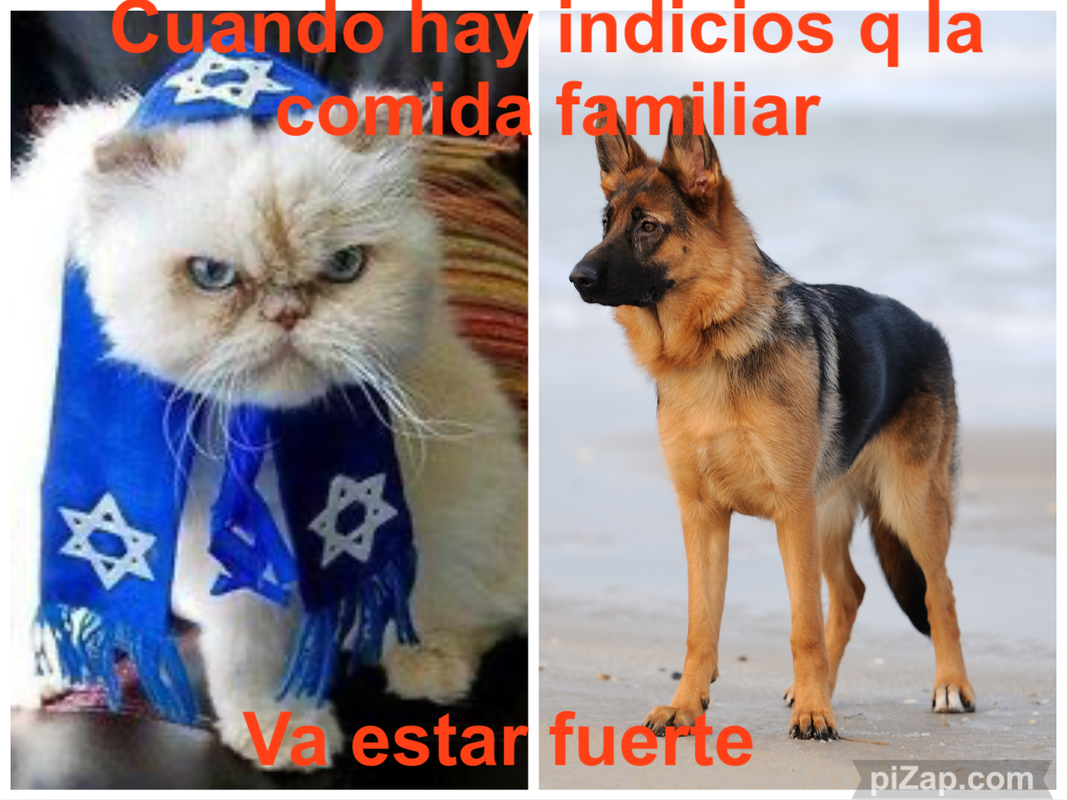 IMG-8916.png