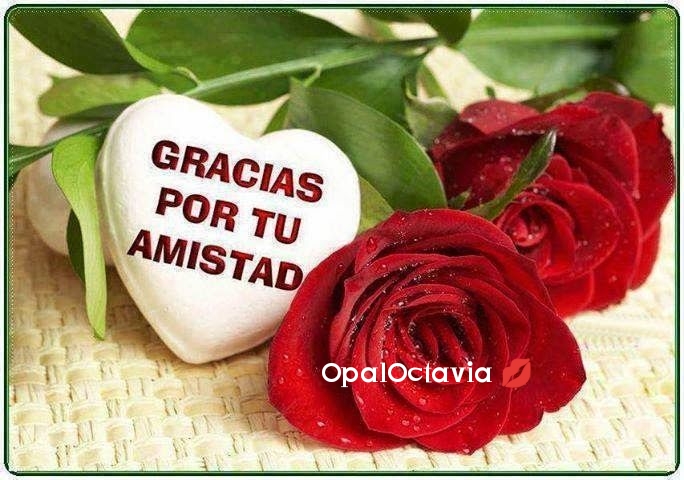 photostudio-1765642010887