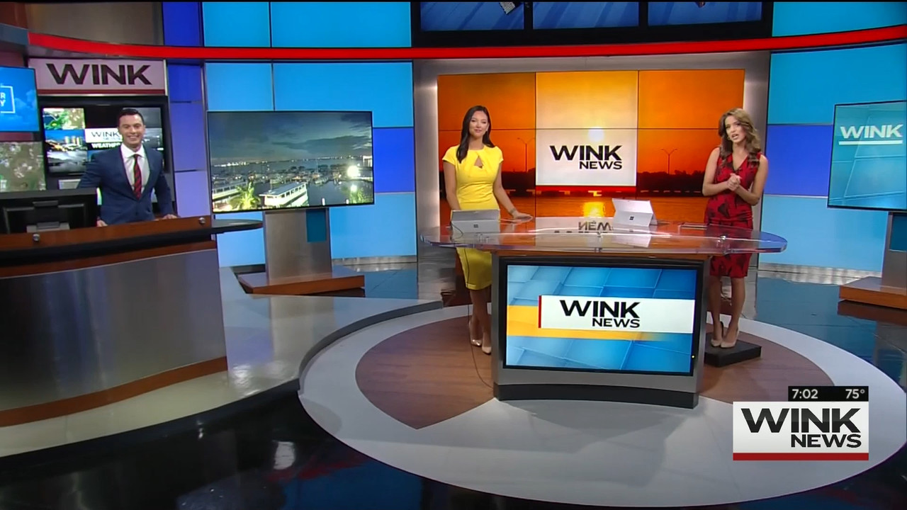 10.25 - 10.00.00 - WINK News @ 6 00AM Sunday..ts_snapshot_03.45.709