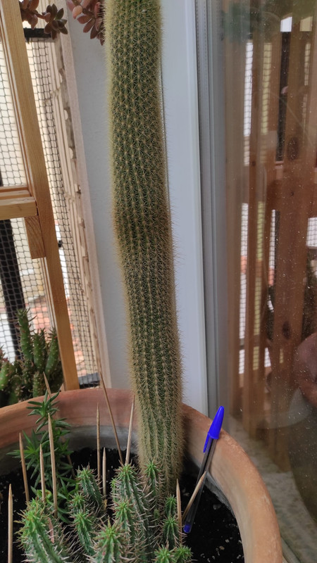 WhatsApp Image 2022-05-12 at 1.40.11 PM (1)