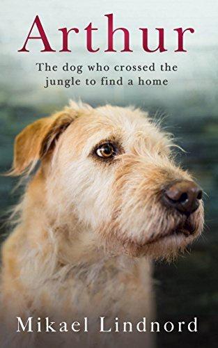 Arthur - The Dog Who Crossed the Jungle to Find a Home by Mikael Lindnord
