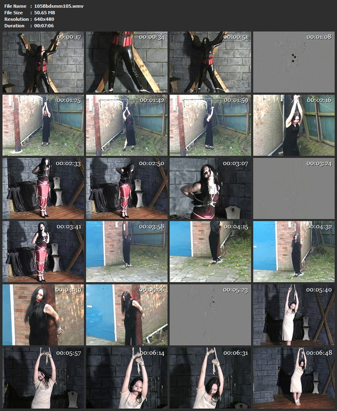 105Bbdsmm105.wmv