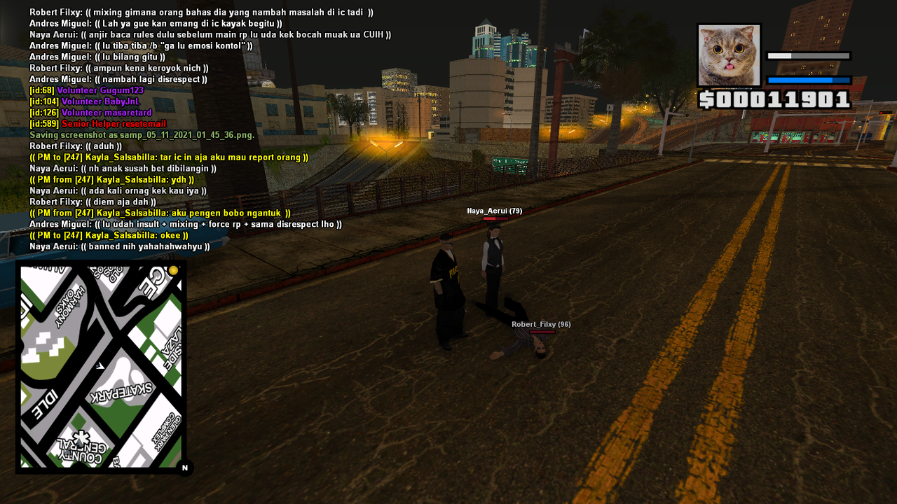 samp-05-11-2021-01-46-29.png