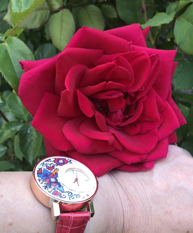 D6210507-7852-43B8-A175-C4AF2D70080F