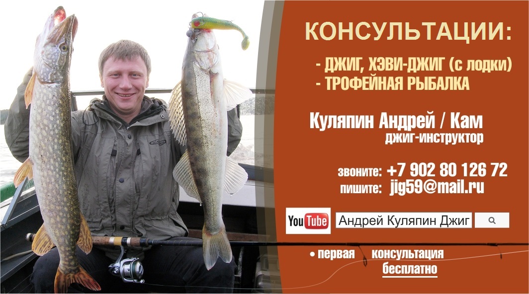 Куляпин Андрей_Консультации