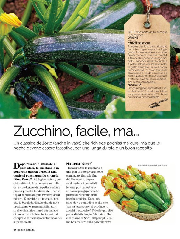 Il Mio Giar Ago-Set 2022 (7)