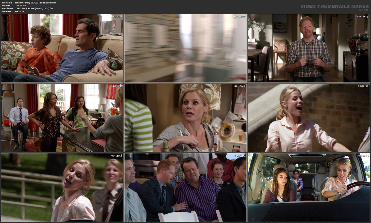 Modern Family S03E03 Phil on Wire.mkv