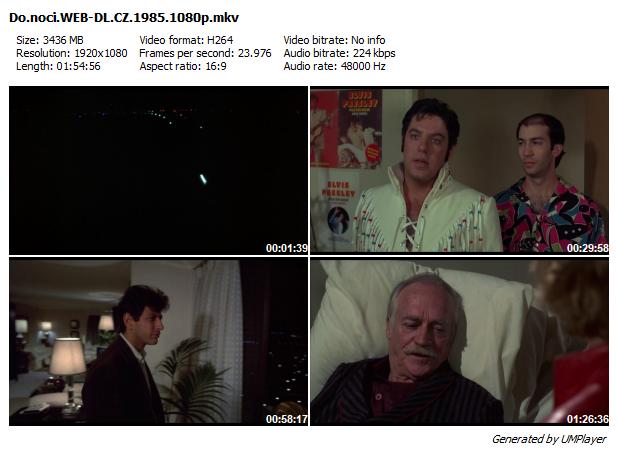 Do noci / Into the Night (1985)