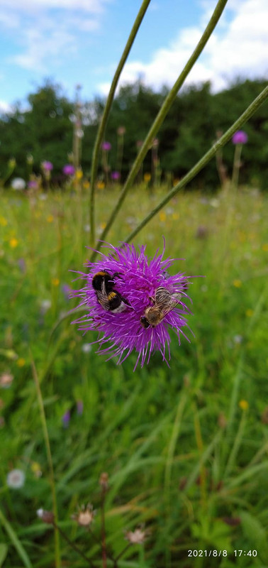 234798111_844652616482656_3195624632216688143_n