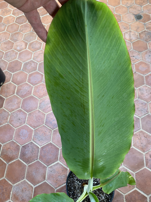 75DAA8C2-A8B5-4CBB-93E0-FE5AF3B03937