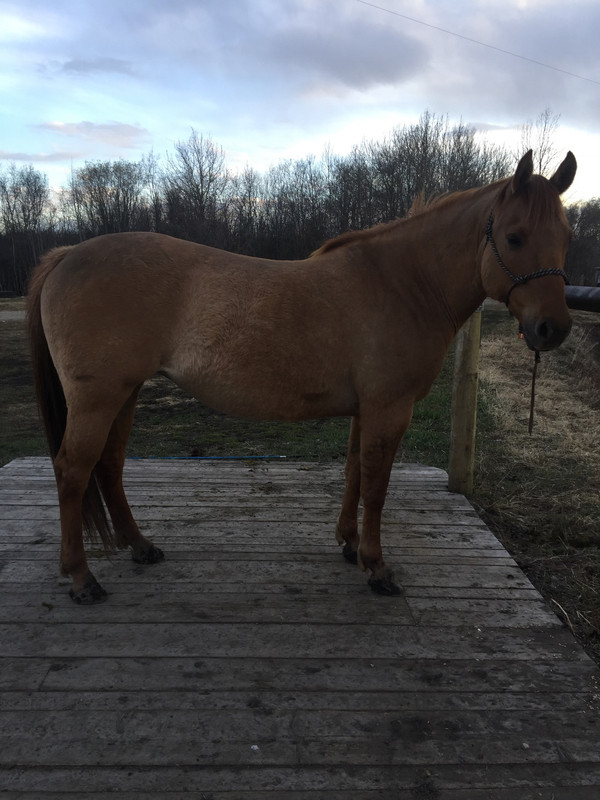 532F8253-0079-4A9C-8A40-CA40AB63FCB6