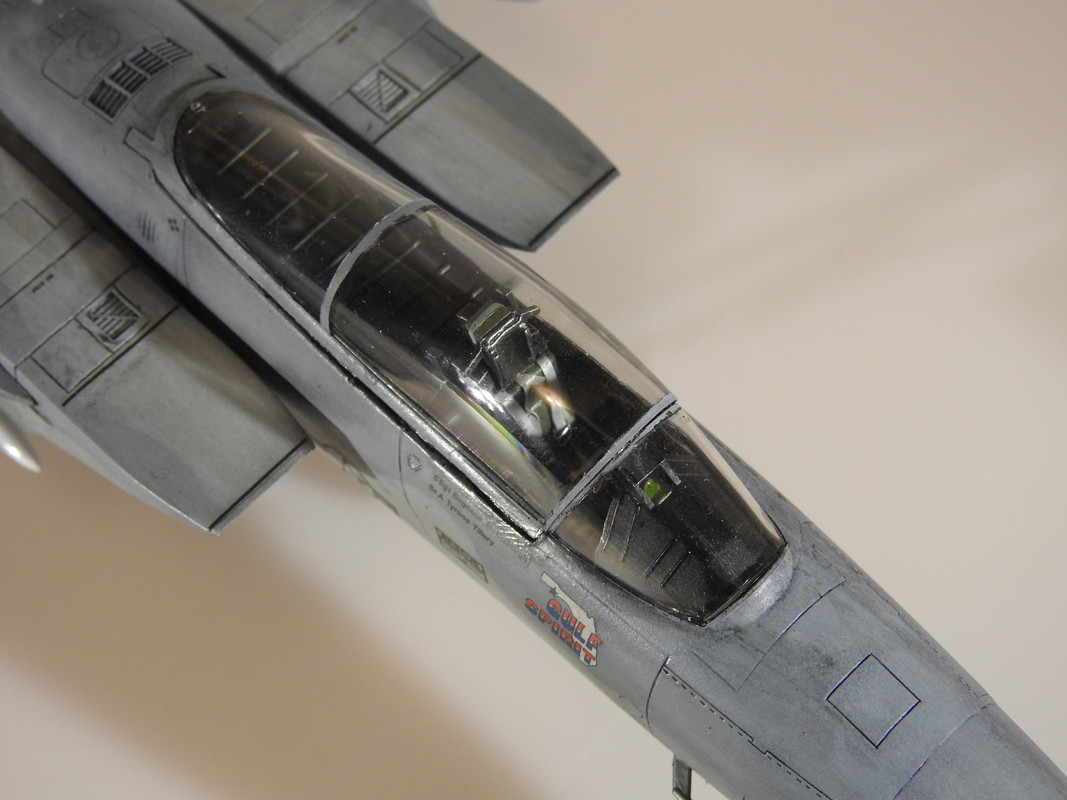 F15C Tamiya 1:48 – klar DSCN2958