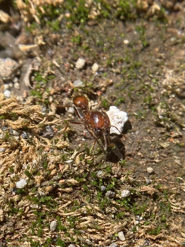 DC893F19-365C-471E-9975-1680EFA195B3