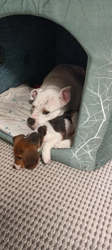 3288EDC8-DBF4-40AE-85A0-2734C554309C