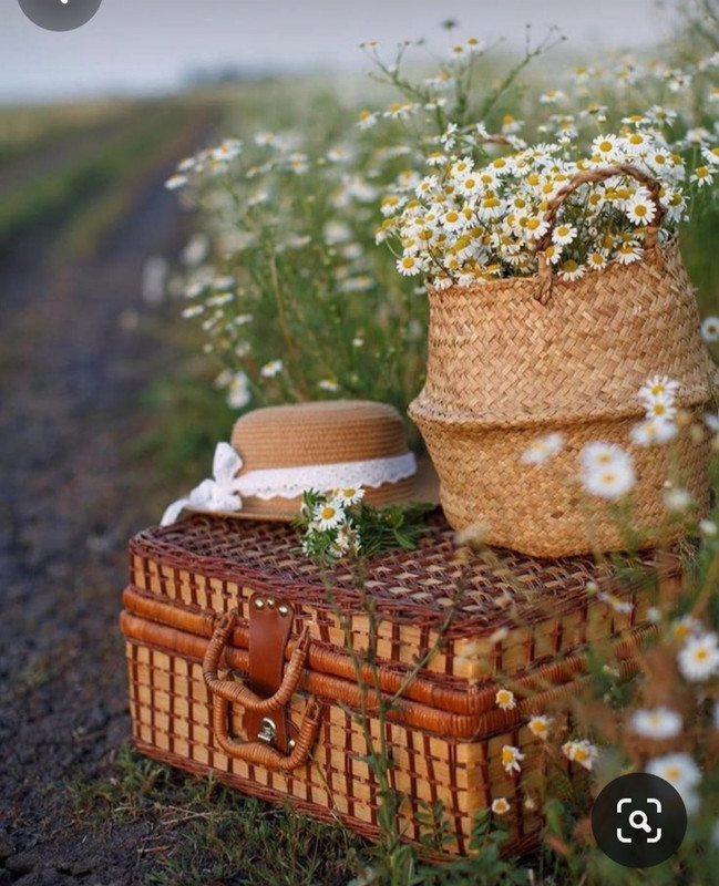 Screenshot_20240331_001009_Pinterest