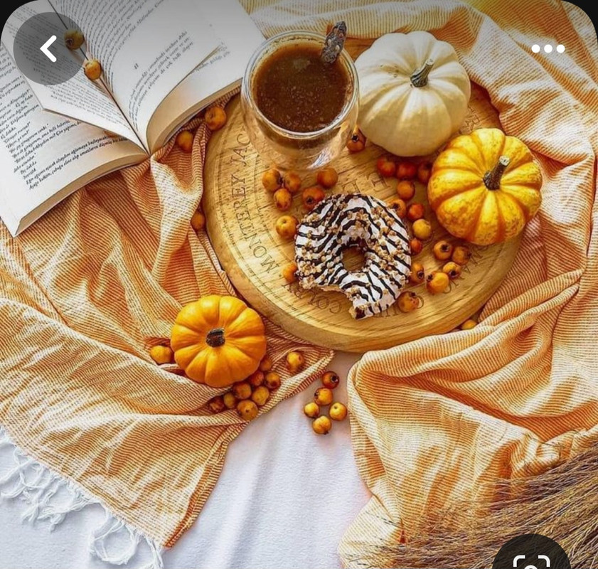 Screenshot_20230909_004921_Pinterest