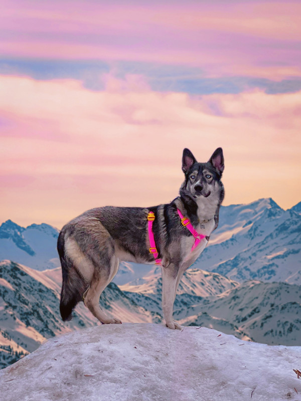 640F58A9-CAFF-4DA8-9001-A391C246DF3C