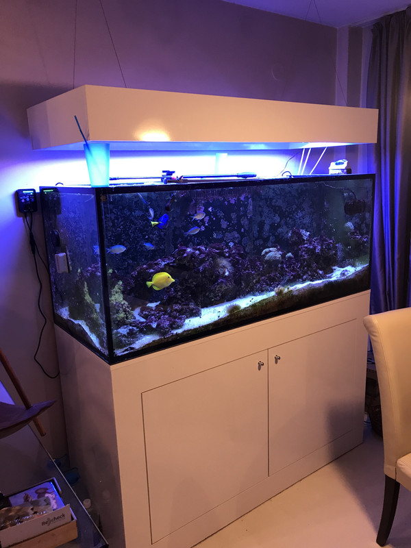 028rC77SRy2GrEtvZ d5lA