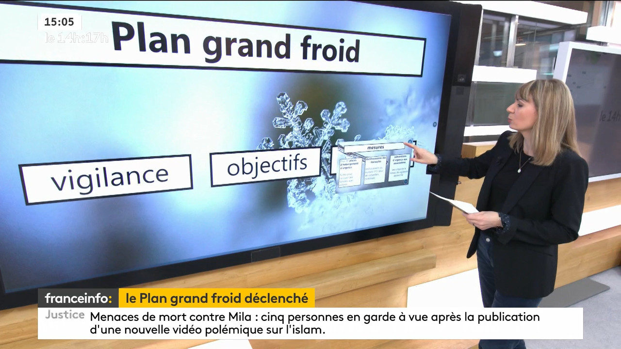 02.09 - 12.59.00 - Le 14h-17h. Au sommaire   Vrai ou fake. - francein..._001.ts_snapshot_00.39.799