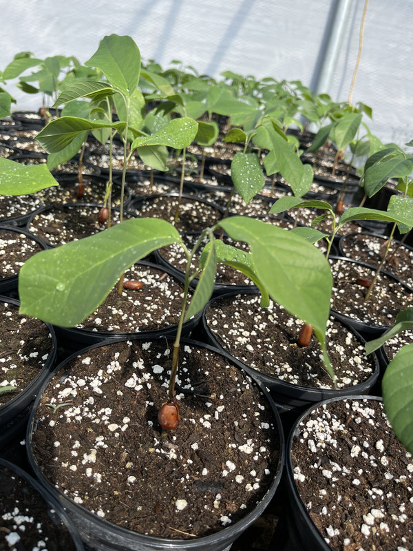 C1CD1D41-5441-4FB3-970F-2202116FBD10