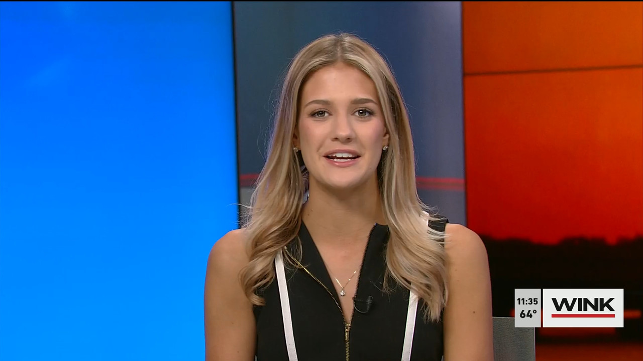 03.19 - 15.30.00 - WINK NEWS at 11 30am  ᴺᵉʷ. Midday news..ts_snapshot_11.50.288