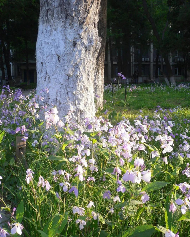 photo 1 2025 12 24 16 09 51