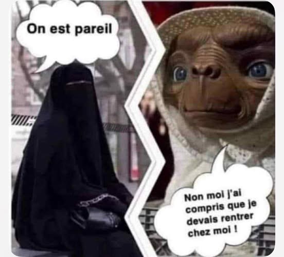 Humour divers - Page 12